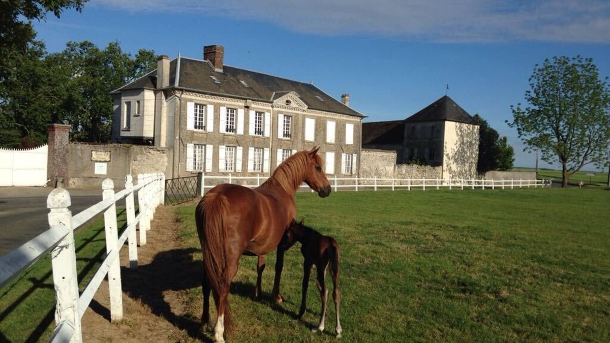 May-en-Multien Apartment | Cottage in the countryside in a pretty farm