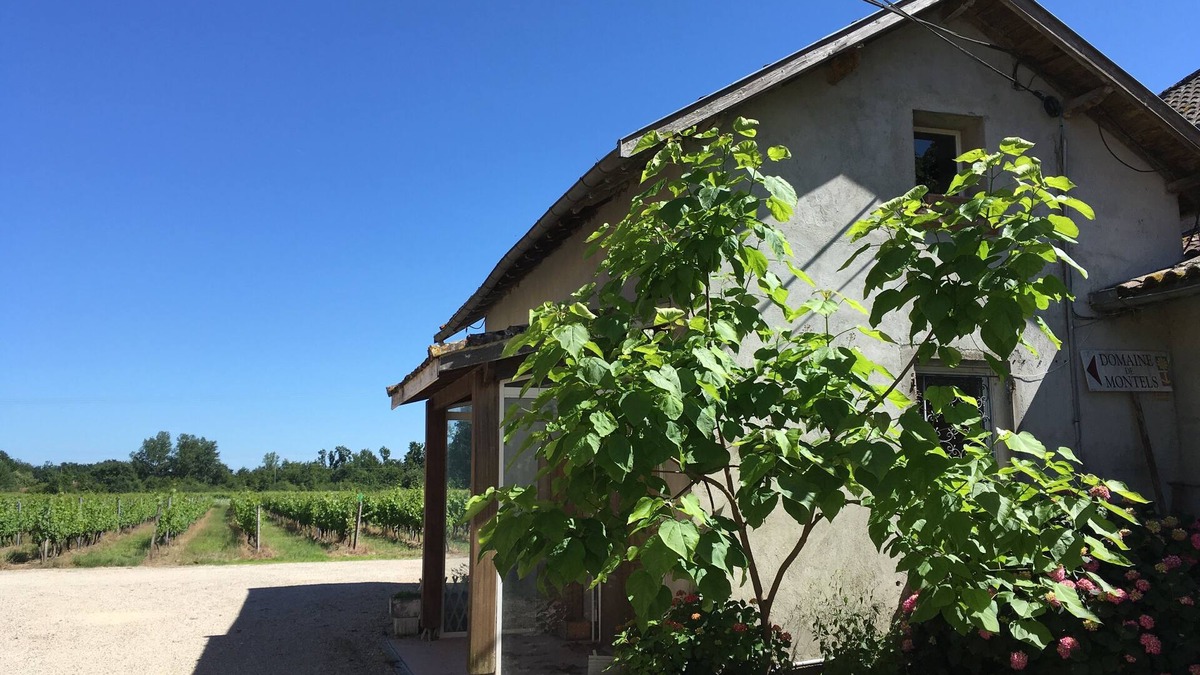 Albias Cottage | Cottage La Maison d'Aline