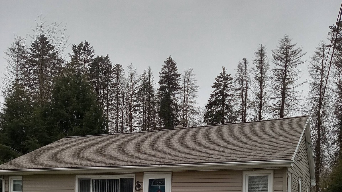 Edinboro Cottage | Cottage near edinboro lake on walnut street