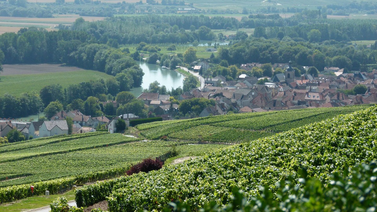 Mardeuil Cottage | Cottage of 110m2 for 6 pers. in the heart of Champagne, near Epernay