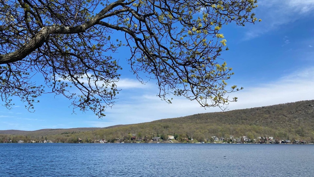 Greenwood Lake Cottage | Cottage on the Lake - Relax, Swim & Enjoy!