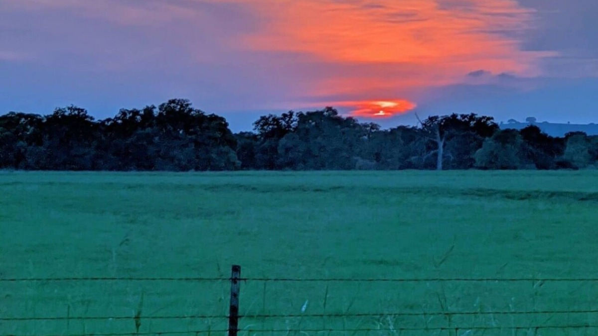 Red Rock Cottage | Cottage on the Ranch close ATX, Circuit of the Americas, Bastrop. Pet friendly!