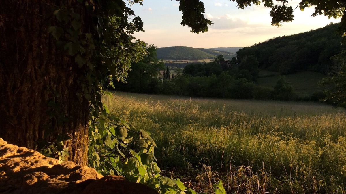Castels et Bezenac House | Cottage rental Les tilleuls stone house in Perigord Noir Sarlat