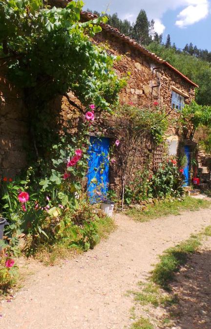 Figueiro dos Vinhos House | Cottage Vivenda Festina Lente