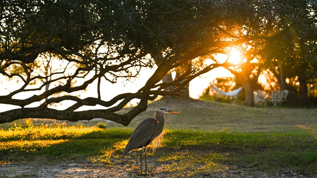 Navarre Cottage | Cottage with Beach Access, Sunset Views!