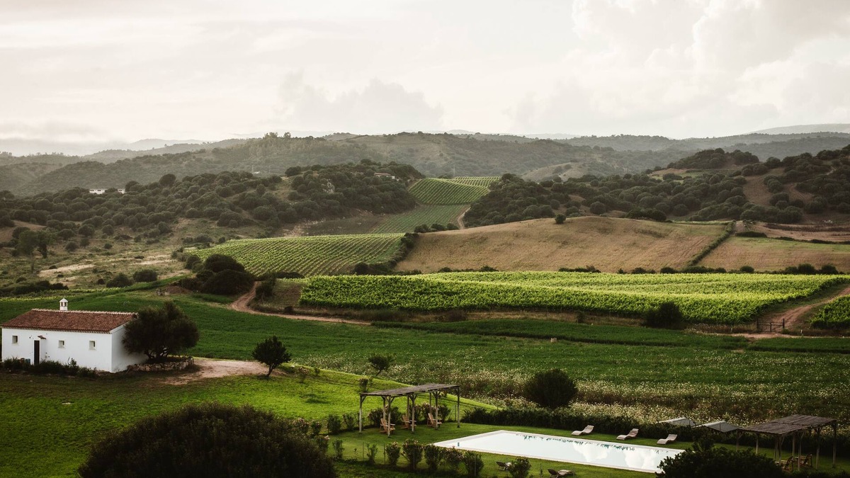 Galtelli Cottage | Cottage with Pool, Vineyard and Breathtaking Views (Ischierda)