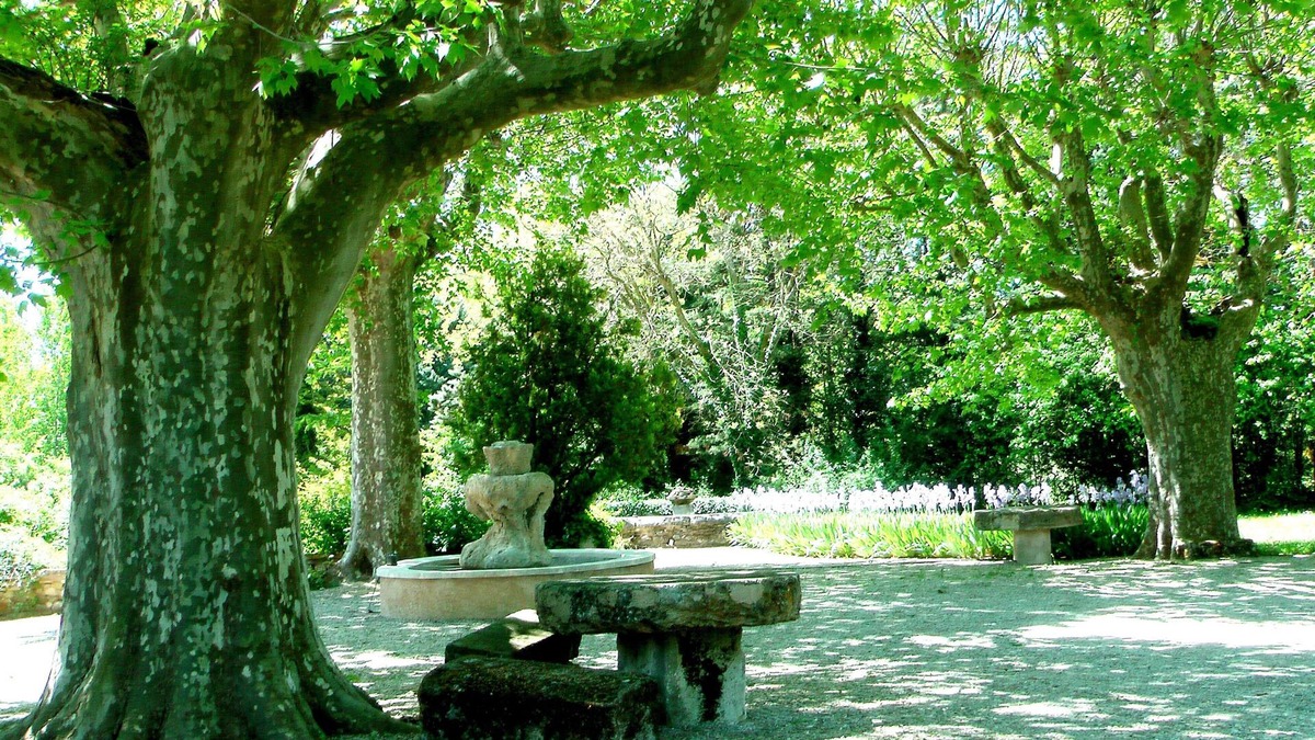 Apt Cottage | Cottage with private terrace and view of the park!