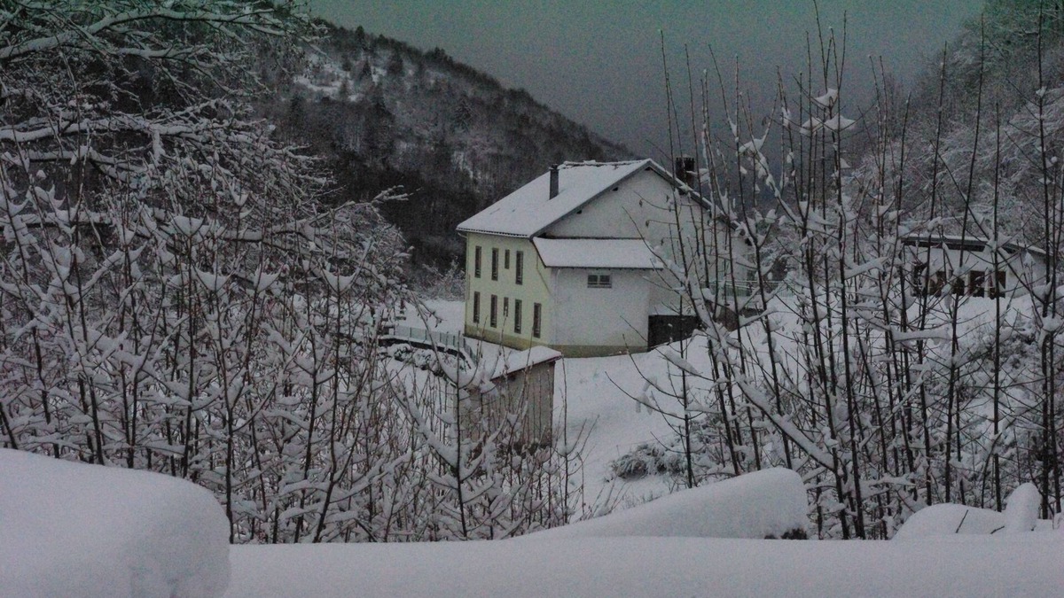 Travexin Cottage | Cottage with Sauna in a farmhouse +/- 300 m²