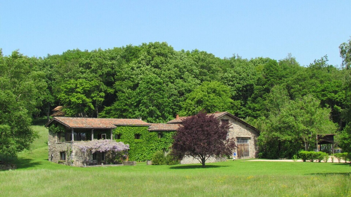 Sologny Cottage | Cottage XXX in the middle of the woods