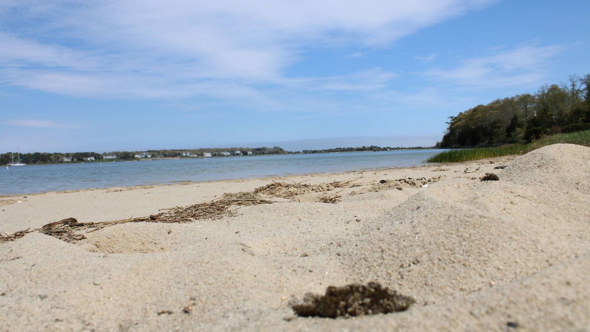 Cotuit House | Cotuit Coastal Escape with private beach. RPMS117