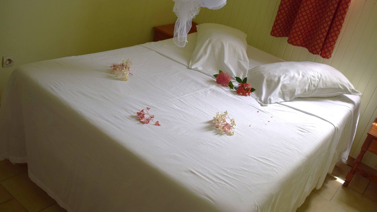 Sainte-Luce Apartment | Country apartment, sea and forest view. Beaches and town 10 minutes away by car