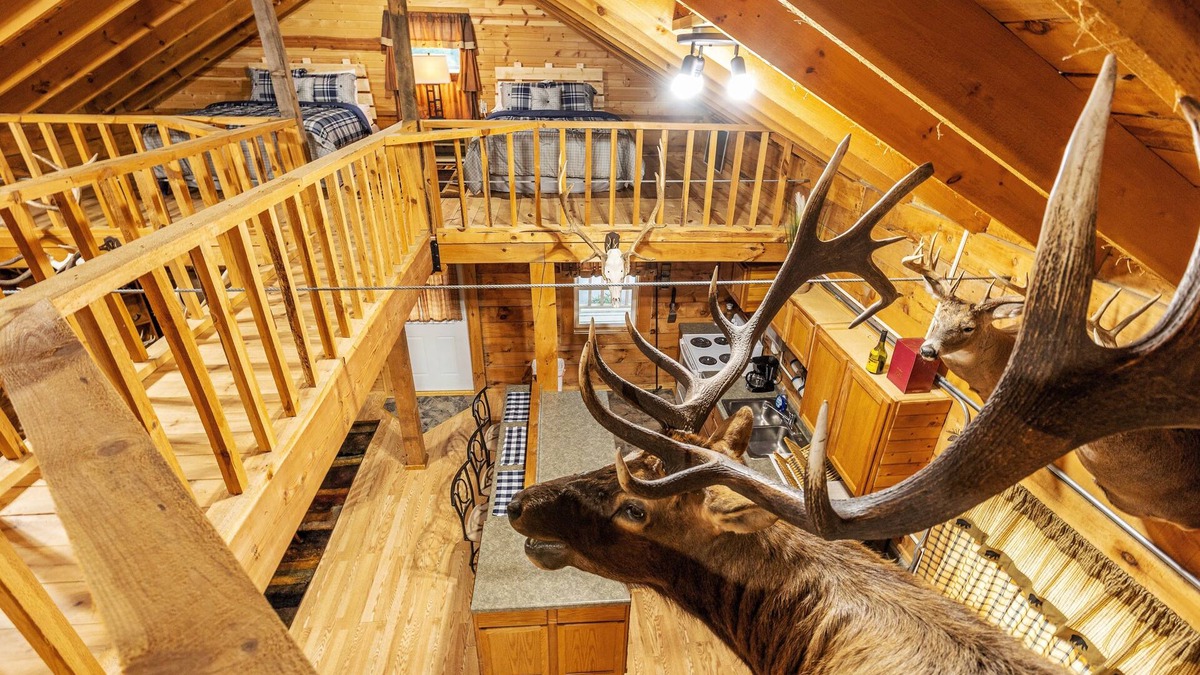 Marshland Cabin | Country Cabin Guest House