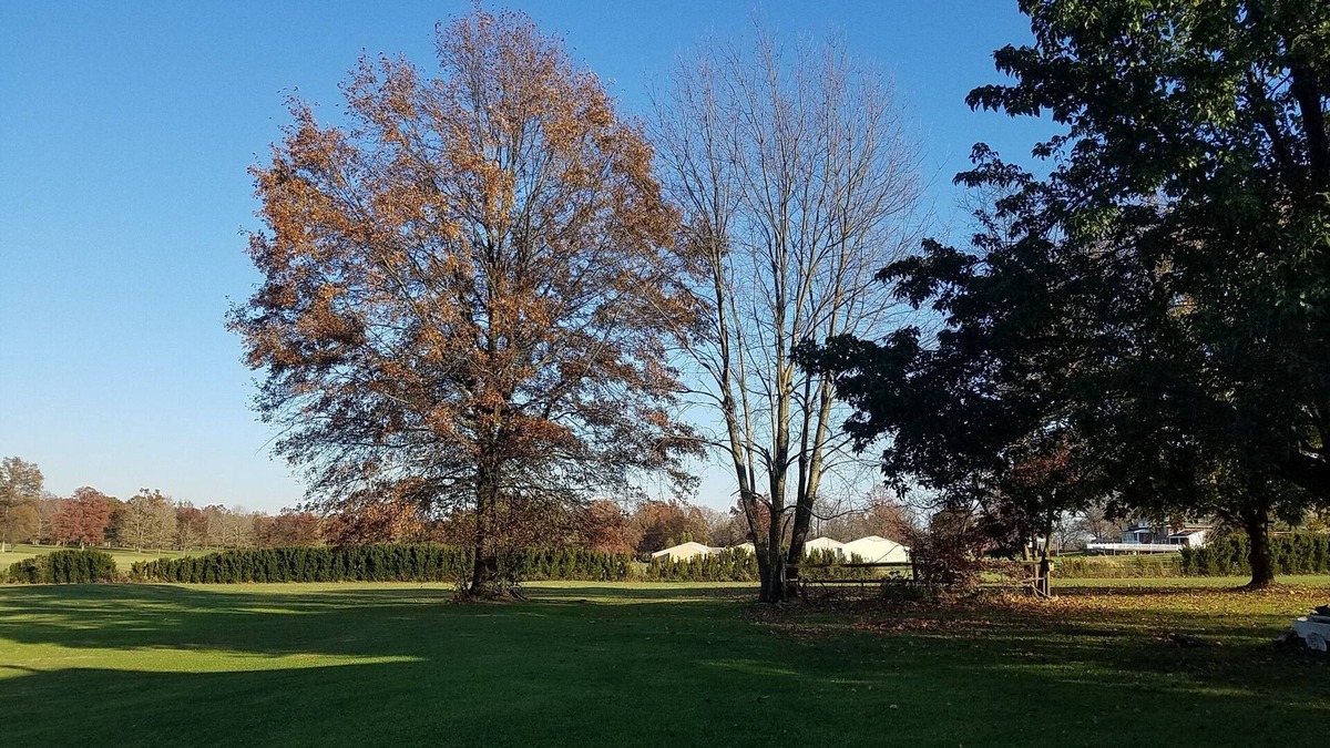 Saxonburg House | Country Charm Home on Golf Course in Historic Saxonburg, PA