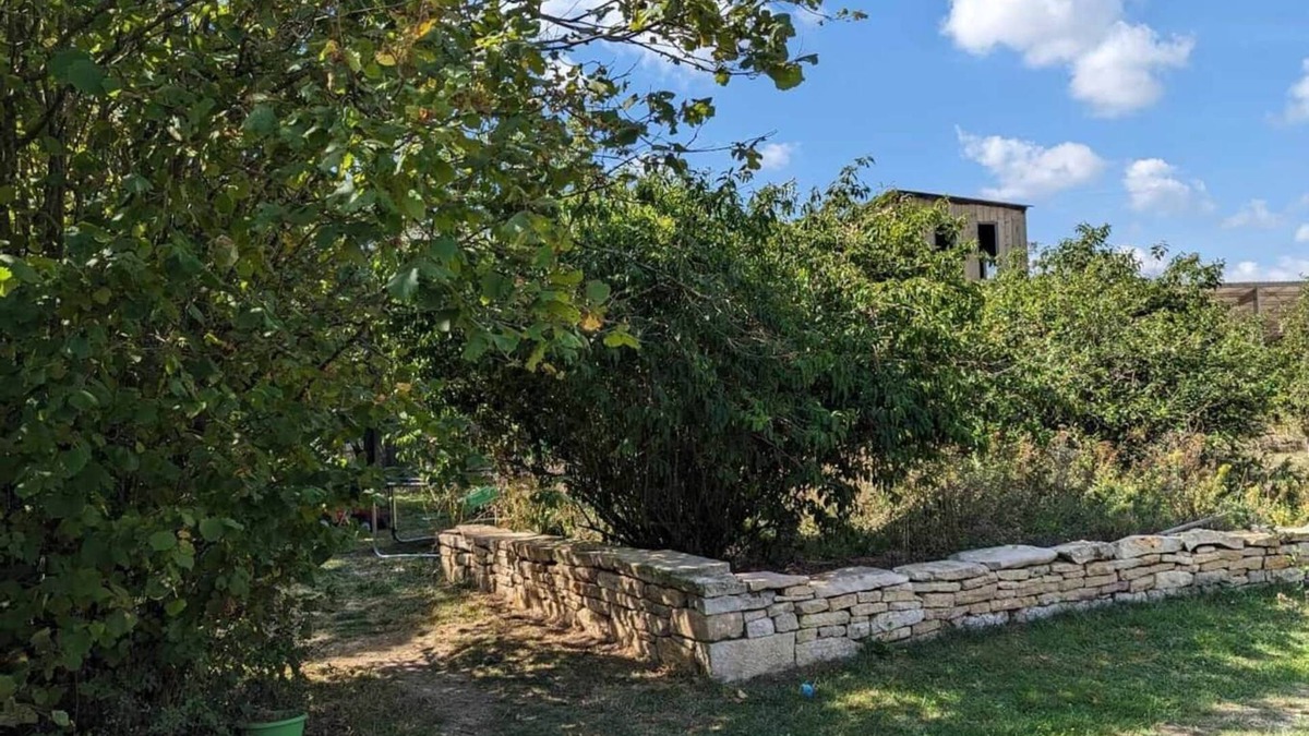 Saint-Sauvant House | Country cottage with private SPA