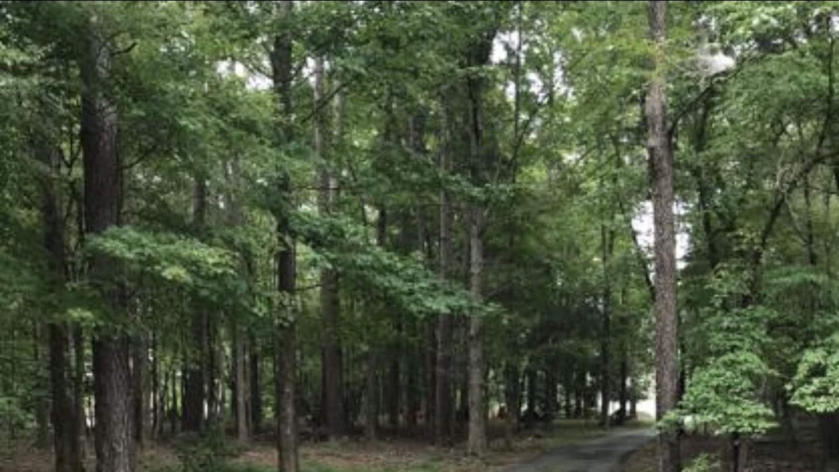 Waxhaw House | Country Get-Away