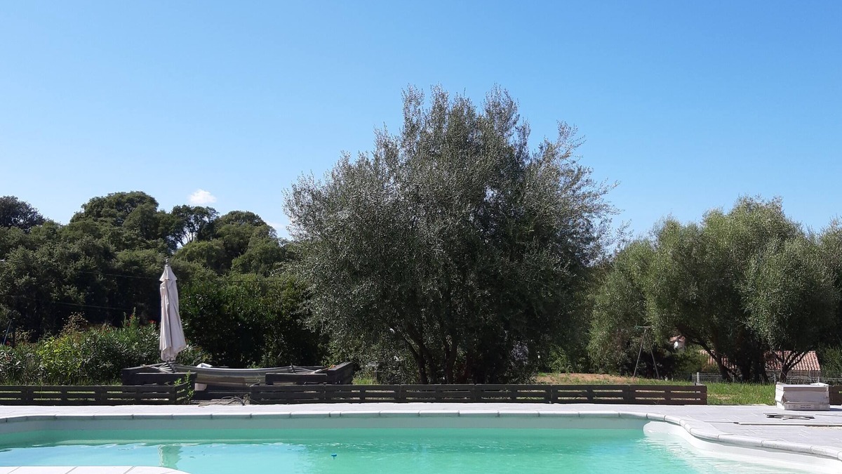 Cuttoli-Corticchiato House | Country house 15 minutes from the imperial city of Ajaccio