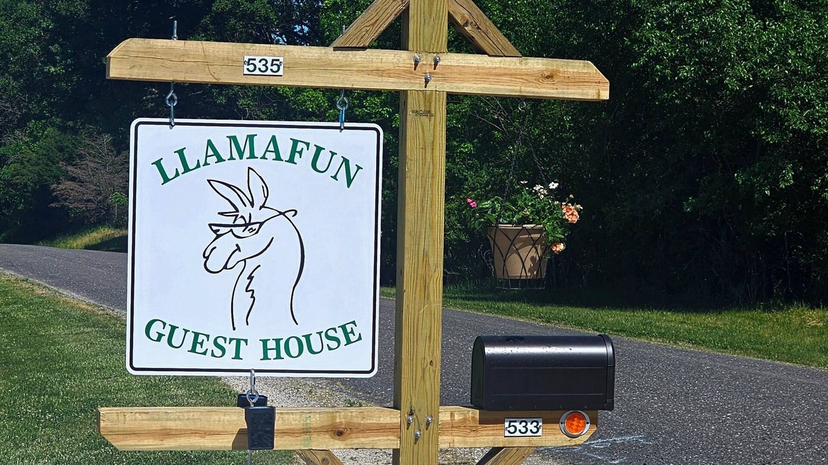 Bluffs House | COUNTRY HOME WITH LLAMAS JUST OUTSIDE THE WINDOWS!