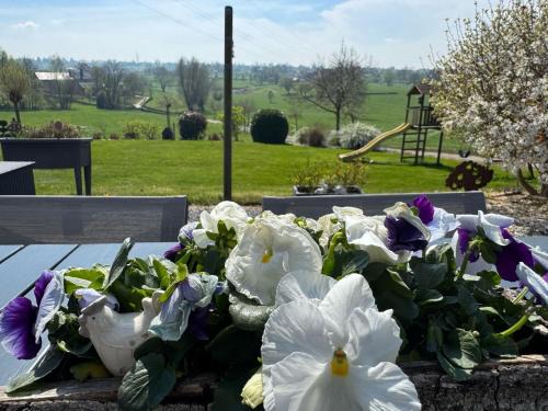 Herve House | Country house Au Ballet des Hirondelles