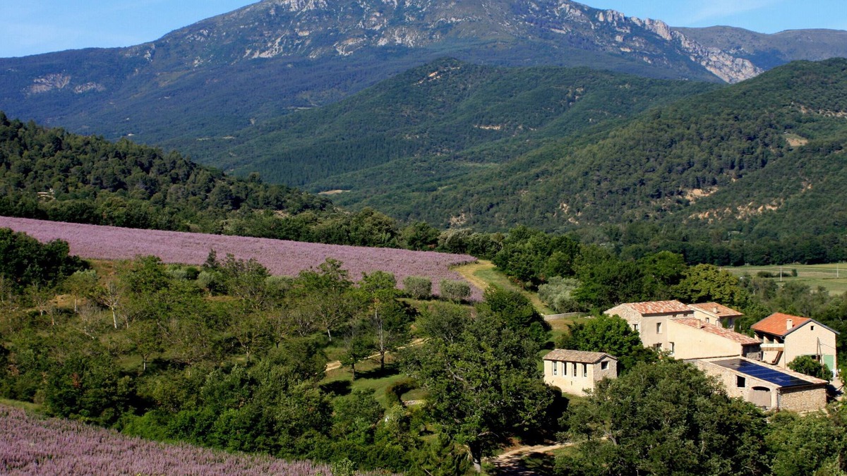 Bras-d'Asse House | Country House "Hameau Des Oraisonis" with Mountain View, Private Pool & Wi-Fi