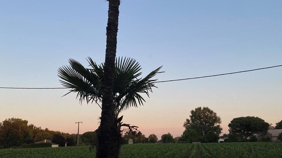Moulis-en-Medoc House | Country house in the heart of the Médoc vineyards with a spa!