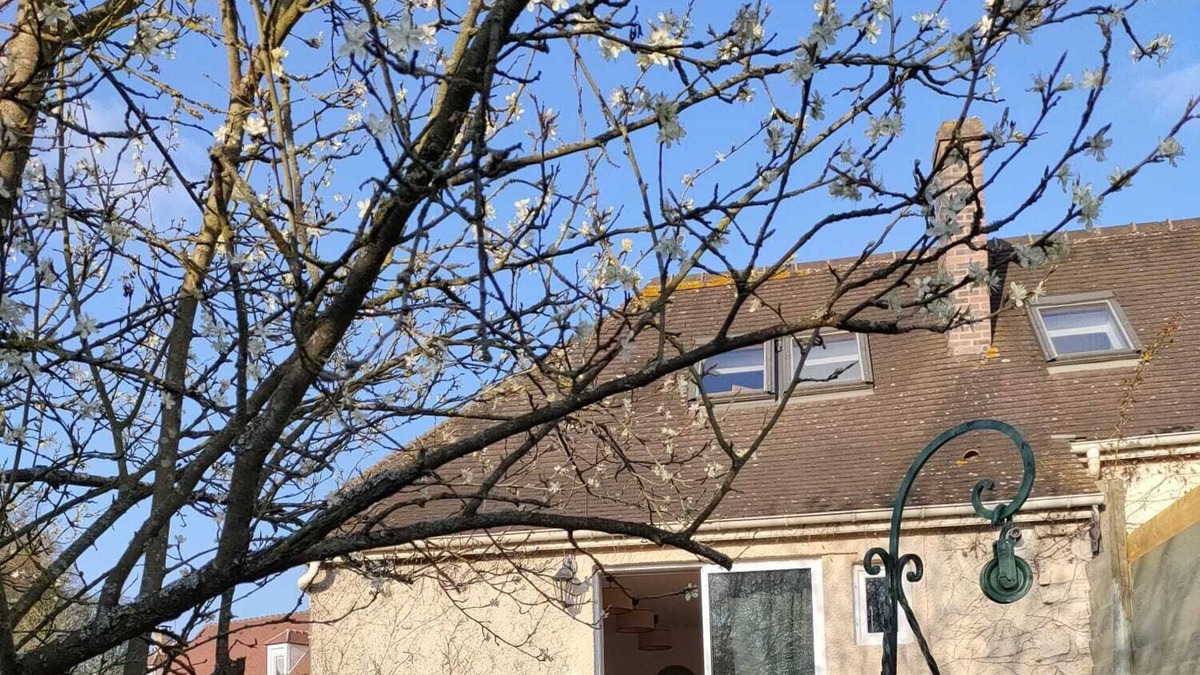 Luzarches House | Country house, quiet, with sunny garden, 1 hour from Paris.
