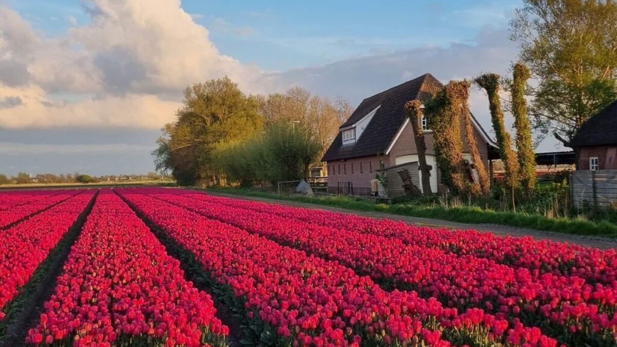 t Zand House | Country life Comfortable holiday residence
