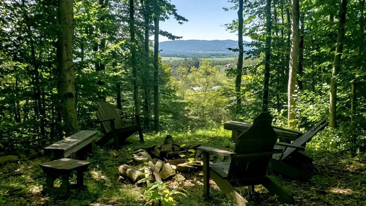 Davis Cabin | Country Mile - 43 Promised Land RoadnnCountry Mile - Hot Tub, Mountain View, Gas Fireplace, Short Drive to Two Ski Resorts & Two State Parks