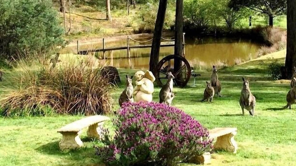 Hepburn Apartment | CountrysideRetreat Romance Intimate NativeWildlife Daylesford - Hepburn