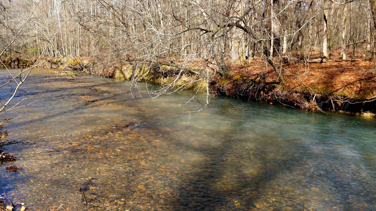 Bismarck Cabin | Couples/Family Secluded Getaway Near Hot Springs-Jacuzzi Overlooking Mountains!