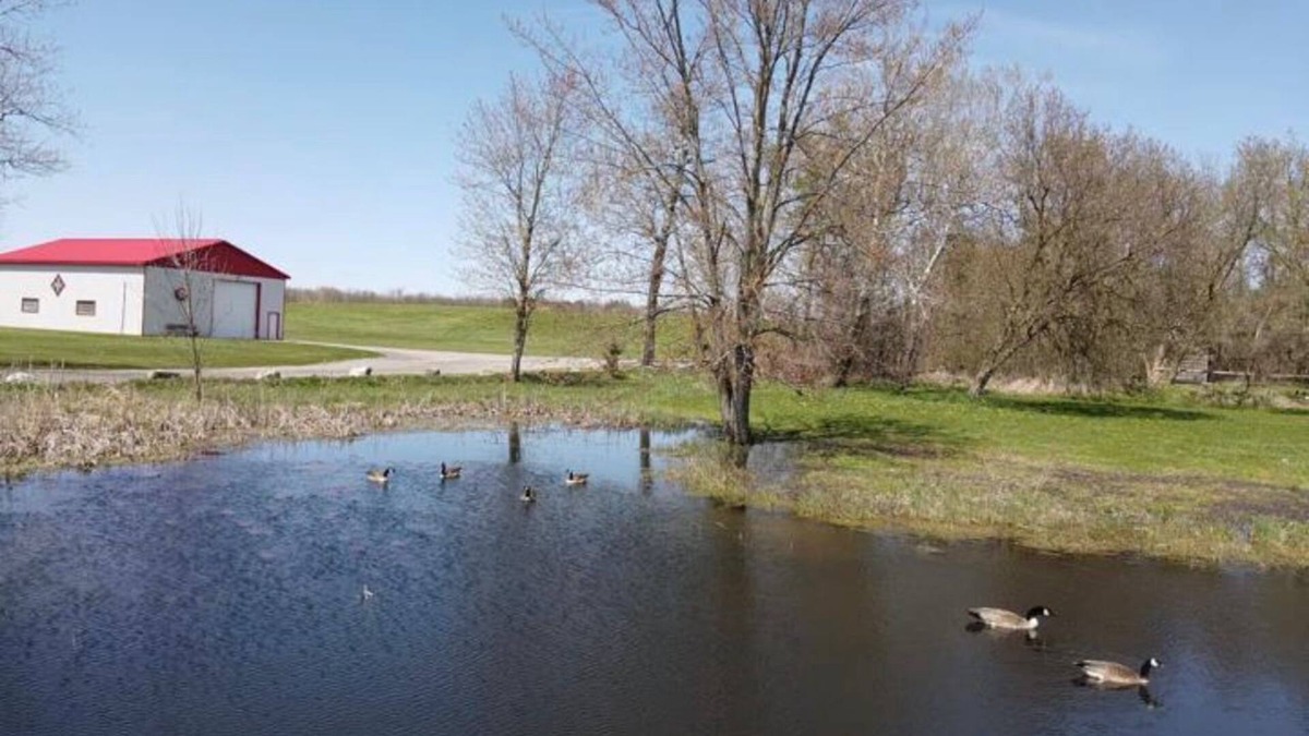 Hamilton Other | Coutryside House with a huge backyard and private pool ( under maintenance )