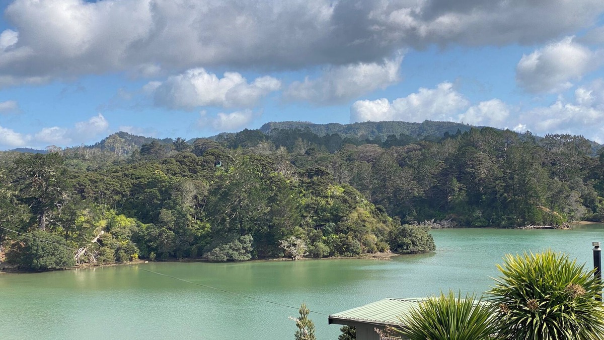 Whangaroa Cabin | Cove Cabin