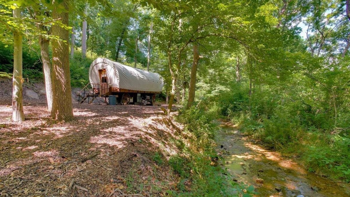 Strasburg RV Rental | Covered Wagon Camping along Creek, Sleeps 4