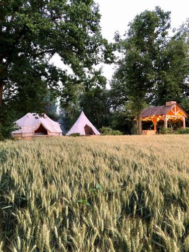 Loonbeek Other | Cowcooning/Family tents