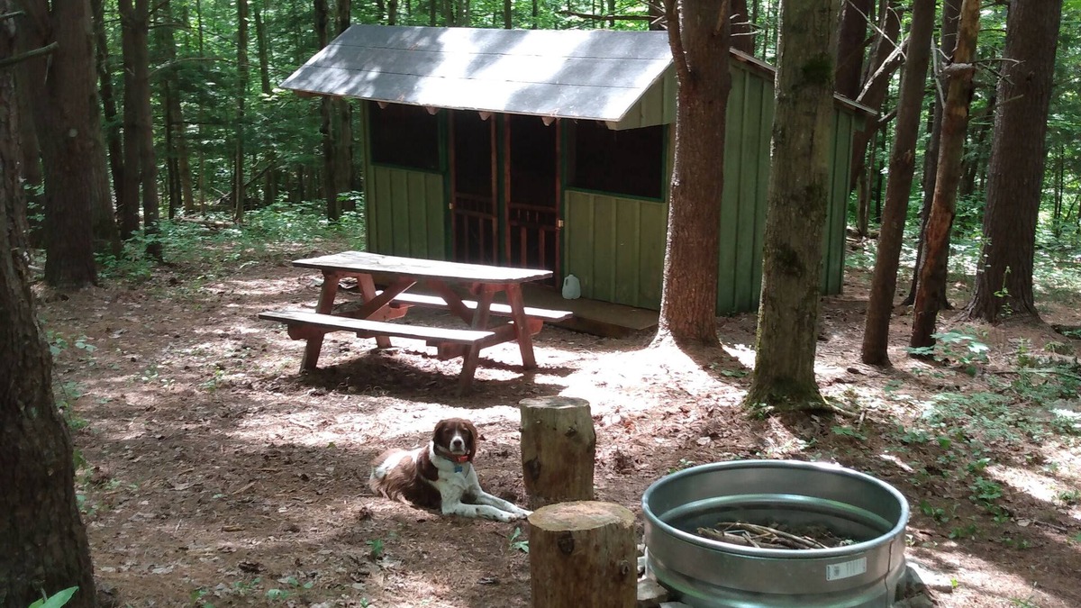 Dryden Cabin | Coyote's Den Rustic Cabin for Adventurous Camper