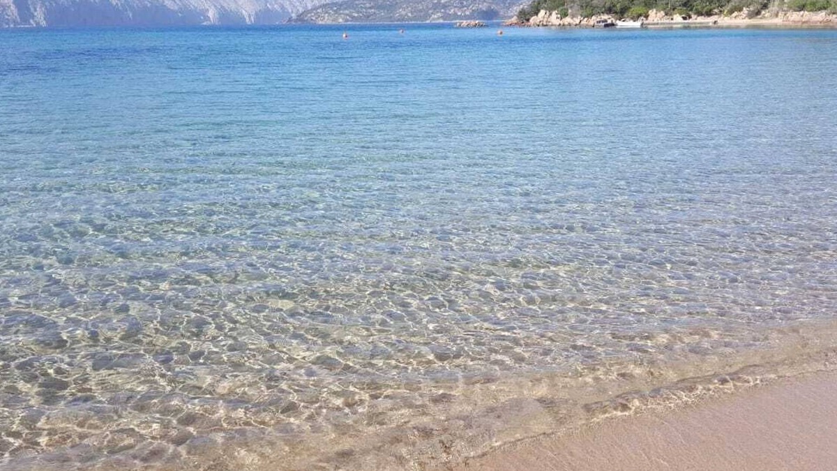 Trinita d'Agultu House | cozy flat with big terrace and seeview