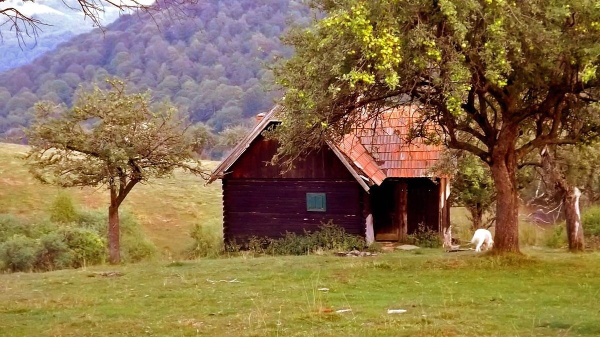 Saliste Cabin | COZO FANTU mountain hut in the Transylvanian Carpathian Mountains Romania