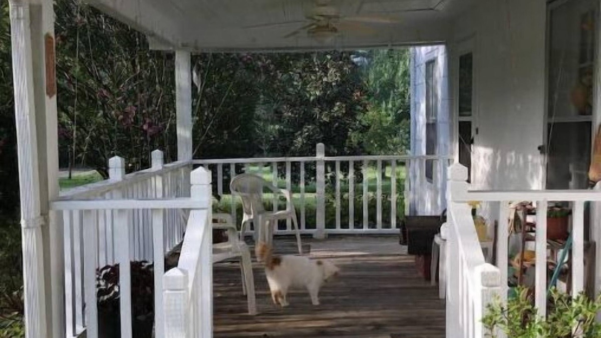 LaFayette House | Cozy 1890s Farm Cottage, fully modernized.