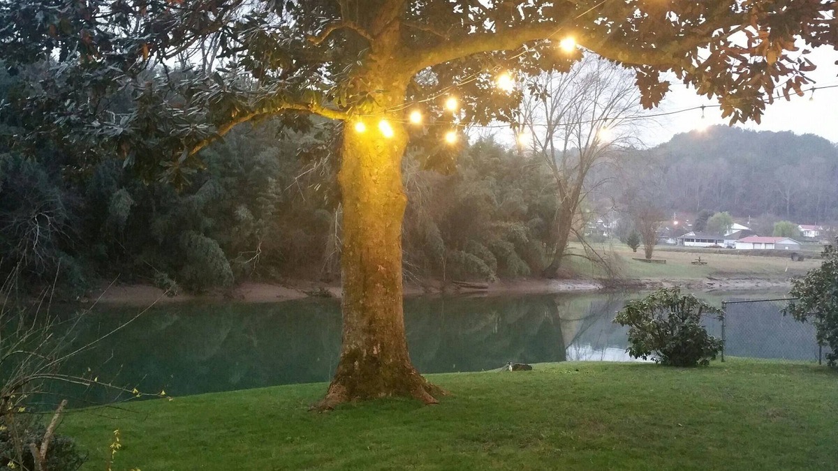 Williamstown Cottage | Cozy 1940 Toccoa River Front Cottage in Downtown McCaysville
