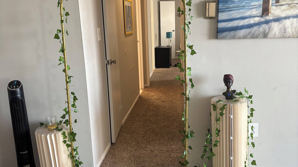 White Oak Apartment | Cozy 2-bedroom apartment in charming Silver Spring with AC, WiFi