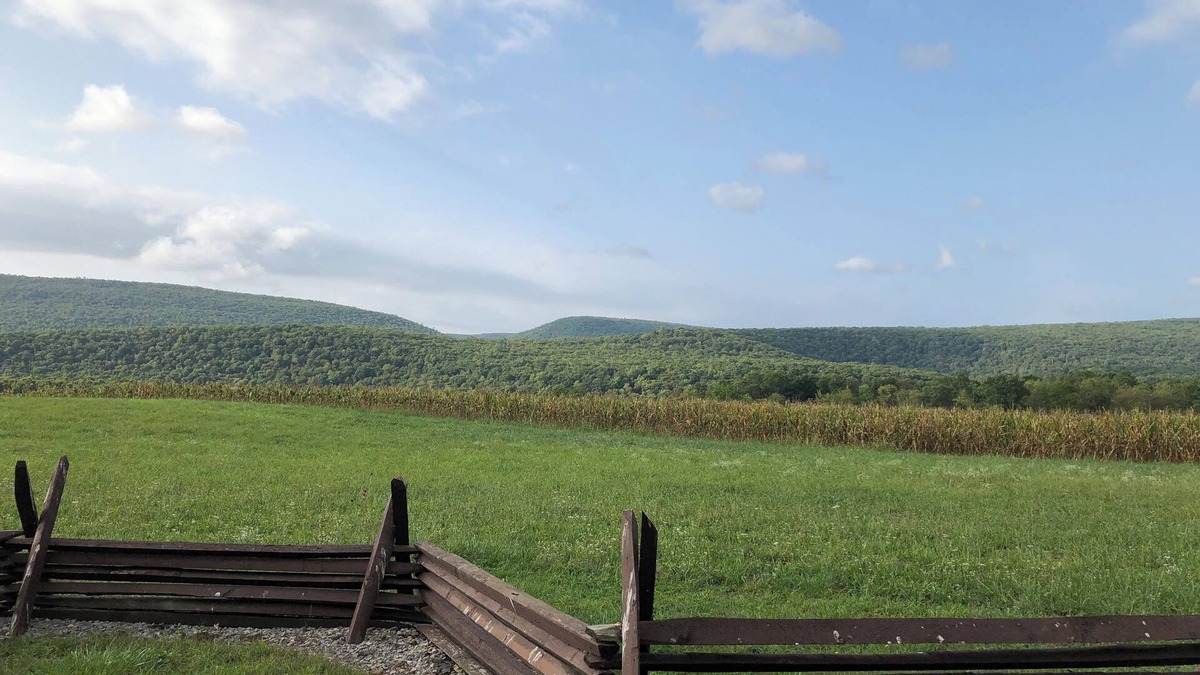 Weikert Cabin | Cozy 2-bedroom cabin in tranquil Millmont with AC, free WiFi, fire pit, hammock