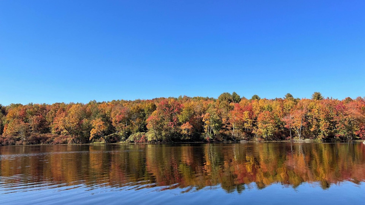 Swan Lake Cabin | Cozy 2-bedroom cabin in peaceful Swan Lake with WiFi.