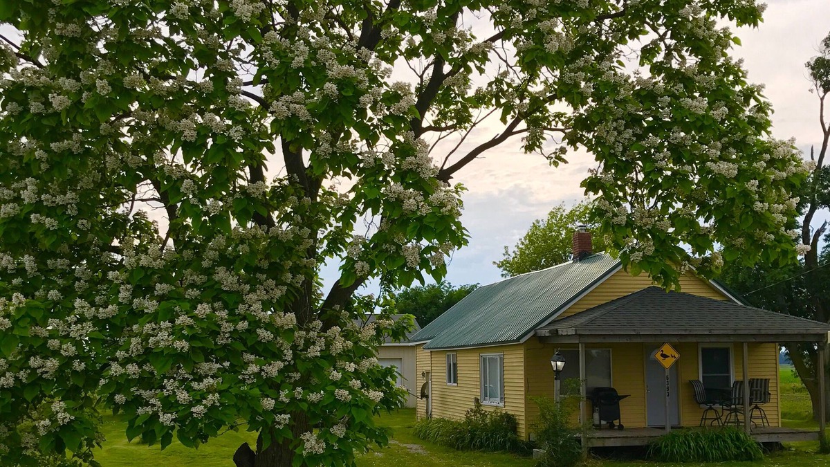 Unionville Cabin | Cozy 2 bedroom cabin in country setting near Saginaw Bay & Fish Point.