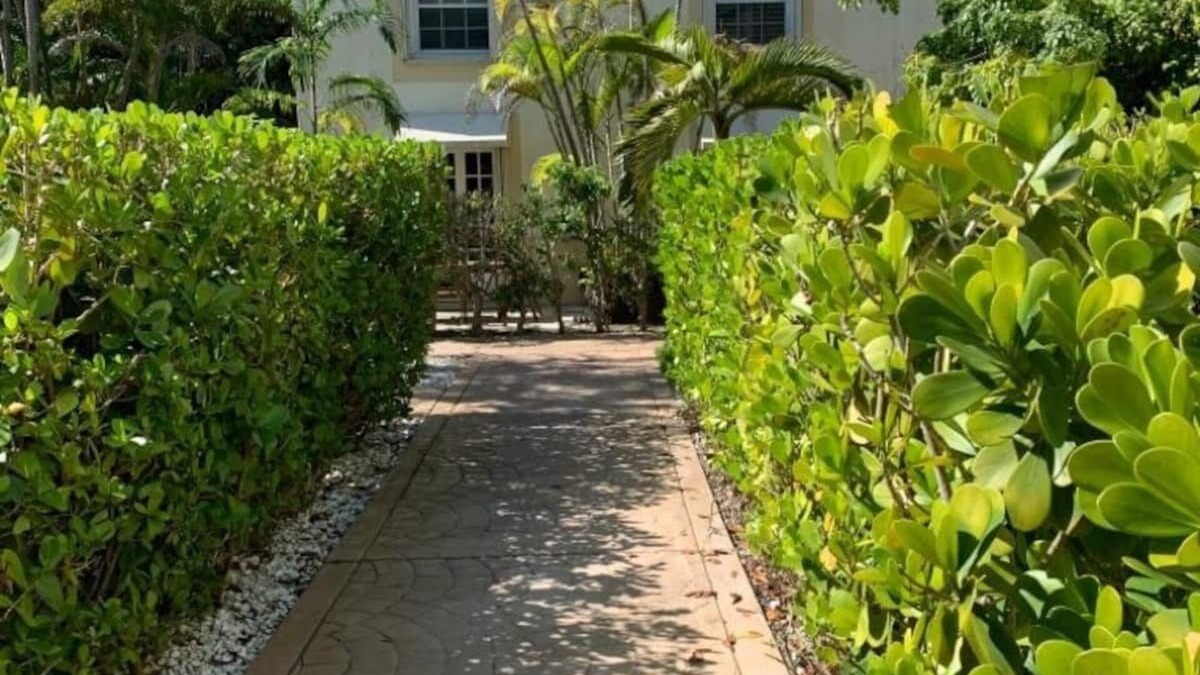 Coconut Grove House | Cozy 2 bedroom home in the heart of Coconut Grove - Walk Everywhere!