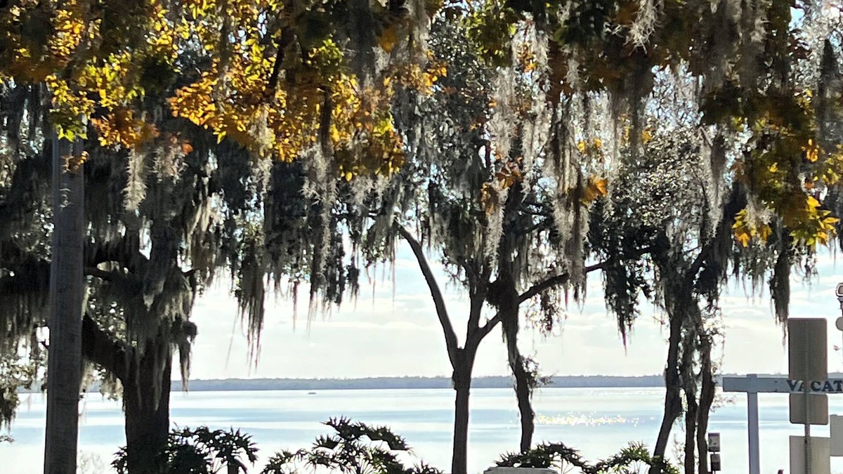 Clermont Condo | Cozy 2-bedroom Loft- Pool, Pickle Ball, B-ball, Theme Parks and More Clermont