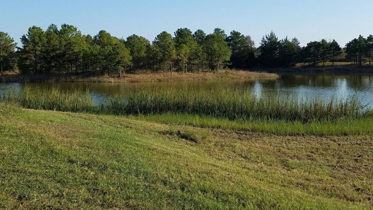 Antlers Cabin | Cozy 2 rm pet friendly cabin- private lake - fishing & swimming - IndianCabin