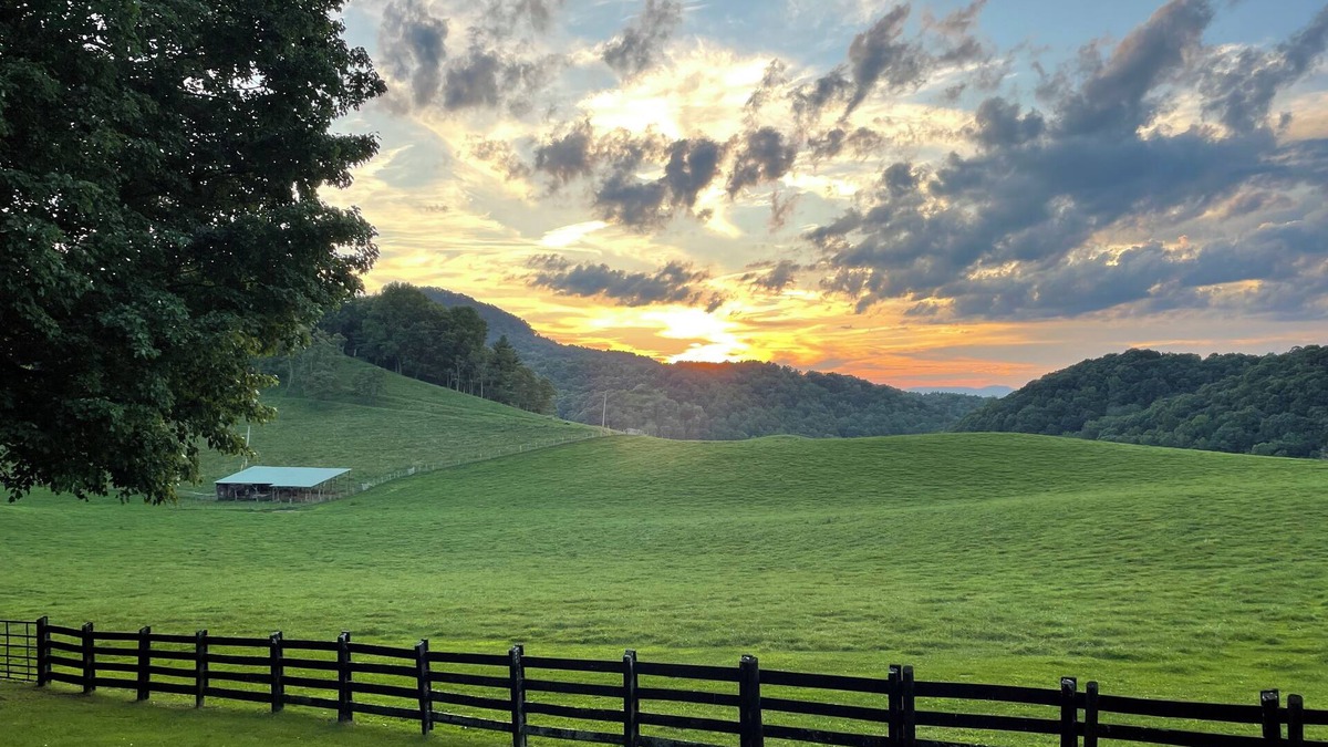 Chilhowie Cabin | Cozy 2bedroom mountain cabin on 18 acres near the Appalachian Trail