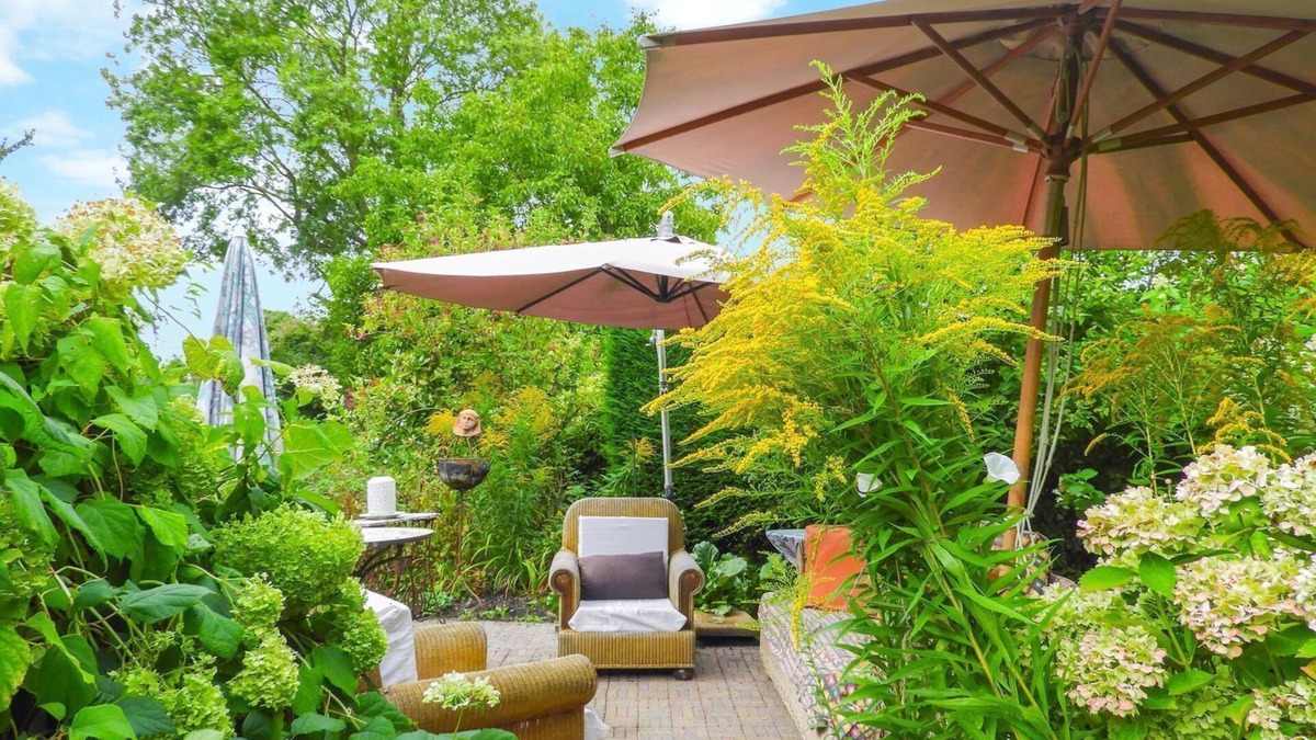 Aardenburg House | Cozy and luxurious 4-person apartment with your pet near Sluis in Zeelandic Flanders