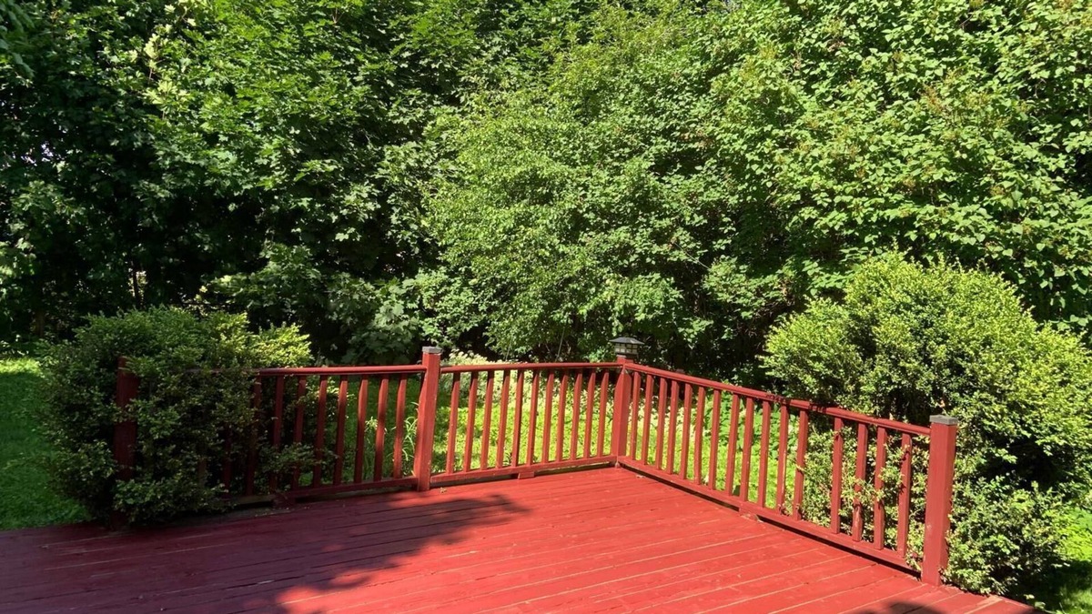 Barrie Apartment | Cozy and Private Lower level apartment