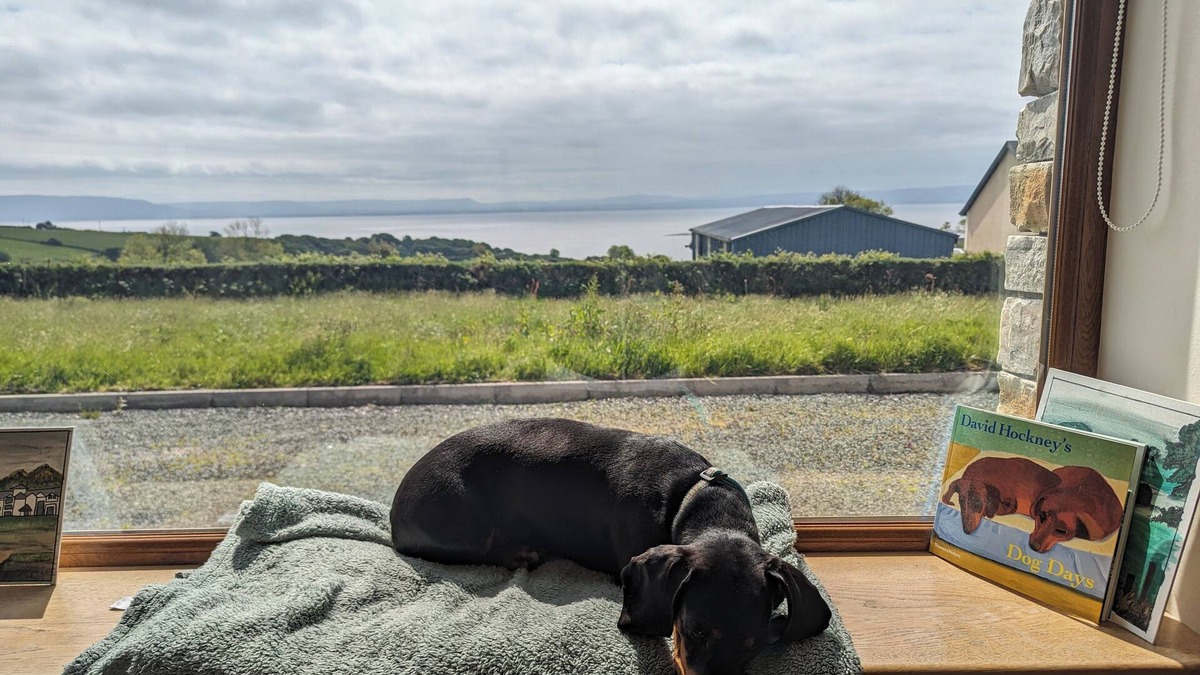 Inishowen House | Cozy and Social Getaway for Couples, Solo Travelers, and Remote Workers