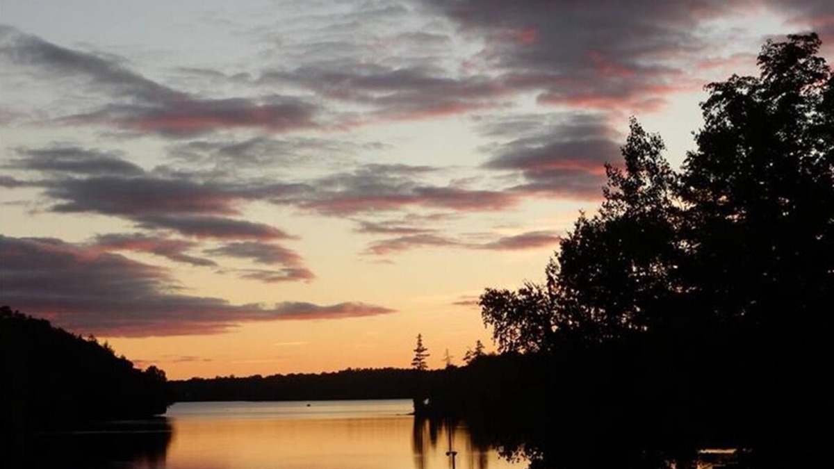 Whitestone Apartment | Cozy apartement Lorimer Lake